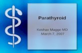 Parathyroid Keshav Magge MD March 7, 2007. History 1849 Sir Richard owen provided 1st accurate description of normal parathyroid glands after examining.