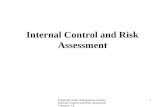 Financial Audit Autonomous Bodies Internal Control and Risk Assessment Session 1.8 1 Internal Control and Risk Assessment.