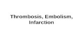 Thrombosis, Embolism, Infarction. Bleeding and stopping bleeding Extravasation of RBCs into tissues—not just fluids and solutes Enclosed bleeding: petechia,