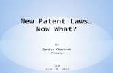 New Patent Laws… Now What? By Denise Chochrek Frito Lay SLA June 10, 2013.