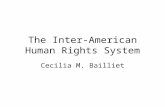 The Inter-American Human Rights System Cecilia M. Bailliet.