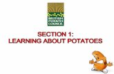 From field to fork: the potato’s journey There are many varieties of potato, each with a different taste and texture. Potatoes can be divided into two.