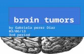 Brain tumors by Gabriela perez Diaz 03/06/13 3rd period.