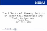 The Effects of Ginseng Pectins on Tumor Cell Migration and Their Mechanisms Yuying Fan 26 th, Nov, 2012