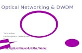 Tal Lavian tlavian@eecs.berkeley.edu Optical Networking & DWDM.