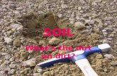 SOIL What’s the dirt on dirt?. Why study soil in environmental science??? Soils are the foundation for ecosystems. Understanding soils and the organisms.