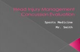 Sports Medicine Mr. Smith.  Discuss arrival assessment  Discuss full head injury evaluation in HIPS format  Discuss deadly head injuries  Discuss.