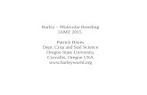 Barley – Molecular Breeding IAMZ 2015 Patrick Hayes Dept. Crop and Soil Science Oregon State University Corvallis, Oregon USA .