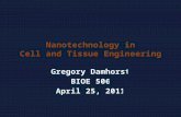 Nature Nanotechnology, January 2011 Part I: Understanding Tissue.