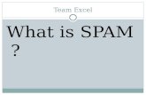 Team Excel What is SPAM ?. Spam Offense Team Excel '‘a distinctive chopped pork shoulder and ham mixture'' Image Source:Appscout.com.