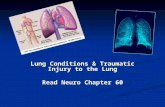 Lung Conditions & Traumatic Injury to the Lung Read Neuro Chapter 60.