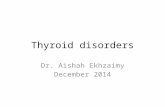 Thyroid disorders Dr. Aishah Ekhzaimy December 2014.
