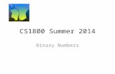 CS1800 Summer 2014 Binary Numbers. Decimal Integers  What does a decimal number like "87294" really mean?  More generally.