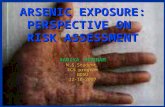 ARSENIC EXPOSURE: PERSPECTIVE ON RISK ASSESSMENT RABIYA SHABNAM M.S.Student ECS program NDSU12-10-2007.