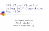GRB Classification using Self Organizing Map (SOM) Praveen Boinee Ph.D student Udine university.