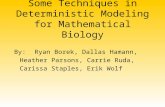 Some Techniques in Deterministic Modeling for Mathematical Biology By:Ryan Borek, Dallas Hamann, Heather Parsons, Carrie Ruda, Carissa Staples, Erik Wolf.