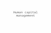 Human capital management. Definition HCM is concerned with obtaining, analysing and reporting on data that inform the direction of value- adding people.