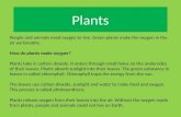 Plants People and animals need oxygen to live. Green plants make the oxygen in the air we breathe. How do plants make oxygen? Plants take in carbon dioxide.
