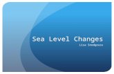 Sea Level Changes Lisa Snodgrass. Causes Global Warming Thermal Expansion Glacial/Ice Sheet Melting.