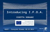 HQVET – Dunajskà Streda, 02.12.2014 Introducing I.F.O.A. COSETTA SORAGNI.