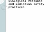 Biological response and radiation safety practices.