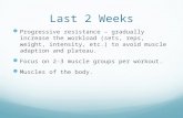 Last 2 Weeks Progressive resistance – gradually increase the workload (sets, reps, weight, intensity, etc.) to avoid muscle adaption and plateau. Focus
