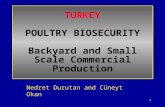 1 TURKEY POULTRY BIOSECURITY Backyard and Small Scale Commercial Production Nedret Durutan and Cüneyt Okan.