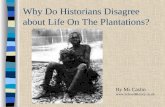 Why Do Historians Disagree about Life On The Plantations? By Mr Caslin .