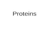 Proteins. Building Blocks of Protein: Amino Acids All protein is composed of Amino Acids Amino Acids are Nitrogen bearing compounds that form the structural.