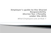 What Employers are at Risk ?.  Employers that meet the definition of “an applicable large employer.”