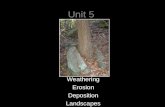 Unit 5 Weathering Erosion Deposition Landscapes Weathering:_____________________________________ ______________________ 2 types of weathering: Physical.