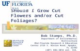 Should I Grow Cut Flowers and/or Cut Foliages? Bob Stamps, Ph.D. Department of Environmental Horticulture Mid-Florida Research & Education Center 2725.