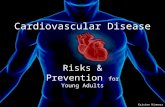 Risks & Prevention for Young Adults Cardiovascular Disease Kristen Hinners.