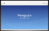 Penguin By Ethan Lee. Penguin family Penguins live in groups called colonies. Sounds in a colony are very important. Penguins communicate by different.