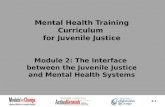 Mental Health Training Curriculum for Juvenile Justice Module 2: The Interface between the Juvenile Justice and Mental Health Systems 2-1.