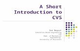 A Short Introduction to CVS Dan Negrut Simulation-Based Engineering Lab Dept. of Mechanical Engineering University of Wisconsin.