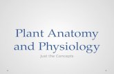 Plant Anatomy and Physiology Just the Concepts. Anatomical Features and Their Functions.