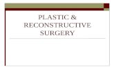 PLASTIC & RECONSTRUCTIVE SURGERY. Outline  Terminology  Anatomy of Skin and Hand  Pathology  Medications  Anesthesia  Supplies, Instrumentation,
