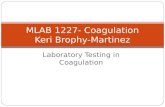 Laboratory Testing in Coagulation MLAB 1227- Coagulation Keri Brophy-Martinez.