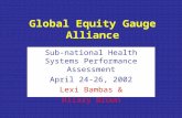 Global Equity Gauge Alliance Sub-national Health Systems Performance Assessment April 24-26, 2002 Lexi Bambas & Hilary Brown.