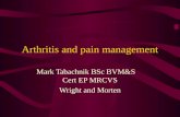 Arthritis and pain management Mark Tabachnik BSc BVM&S Cert EP MRCVS Wright and Morten.