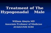 Treatment of The Hypogonadal Male William Abeyta MD Associate Professor of Medicine AVAH/UNM SOM.