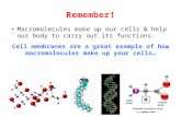 Remember! Macromolecules make up our cells & help our body to carry out its functions. Cell membranes are a great example of how macromolecules make up.