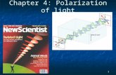 1 Chapter 4: Polarization of light 2 Preliminaries and definitions Preliminaries and definitions Plane-wave approximation: E(r,t) and B(r,t) are uniform.