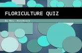 By Mrs. Hitchcock FLORICULTURE QUIZ. Horticulture The science or art of cultivating fruits, vegetable, flowers and plants. Olericulture The production.