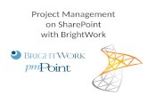 Project Management on SharePoint with BrightWork.