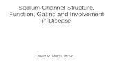 Sodium Channel Structure, Function, Gating and Involvement in Disease David R. Marks, M.Sc.