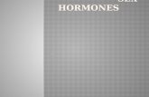 ..  gonadotropin-releasing hormone (GnRH)  follicle-stimulating hormone (FSH)  luteinizing hormone (LH) 2.