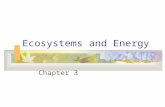 Ecosystems and Energy Chapter 3. Ecology Study of the interactions of organisms and their living and non-living environment Many different scales to ecology.