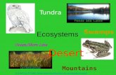 Ecosystems Tundra Swamps Ocean/Shore Line Desert Mountains S:\FACULTY\6th Science\Introduction to ecosystems.asf.